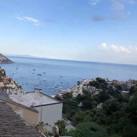 Apartment Flower Power