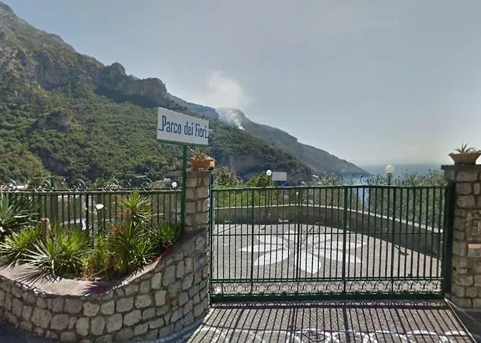 Apartment Flower Power